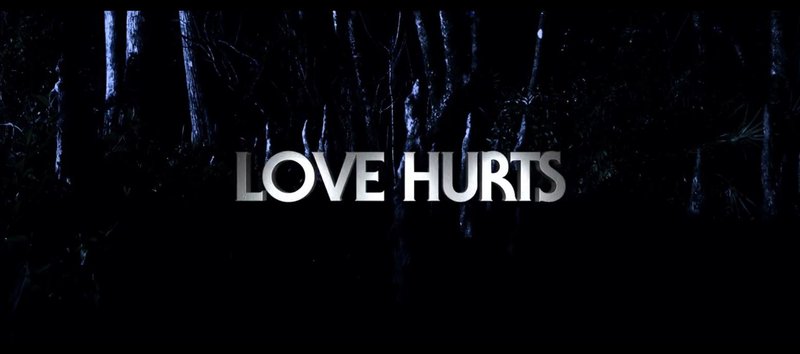 Love Hurts