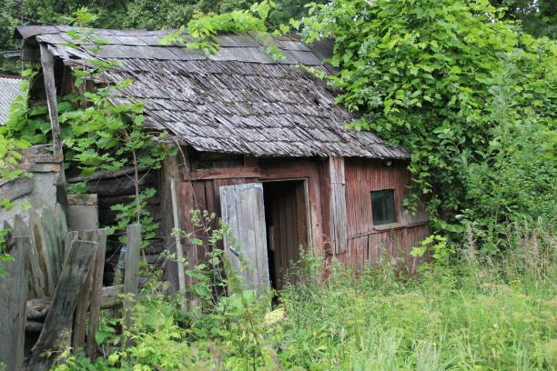 The Shelter We Need 