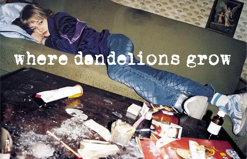 Where Dandelions Grow