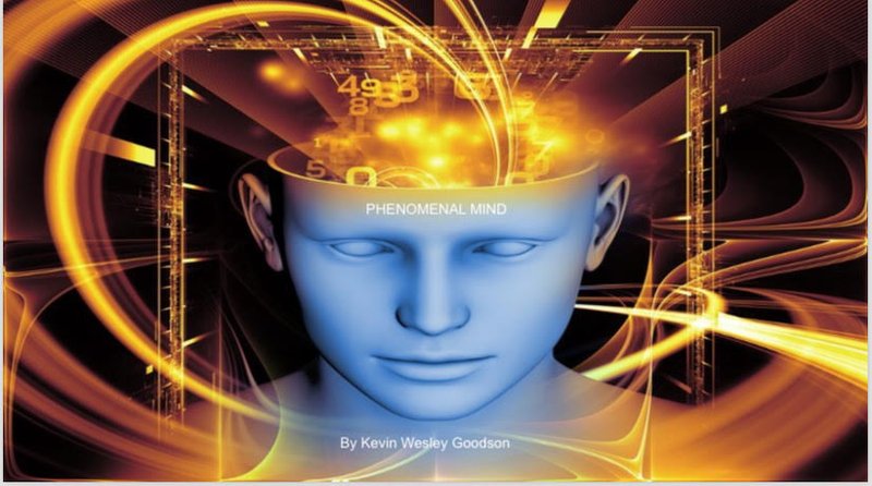 PHENOMENAL MIND