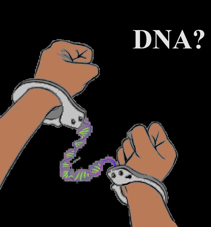 DNA?